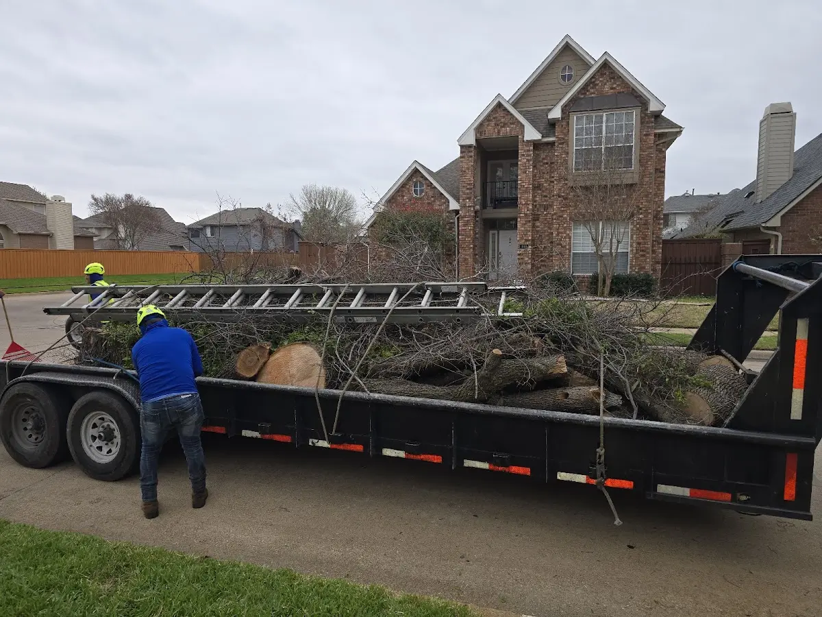 Expert Lot Clearing with proper safety equipment in Grand Island